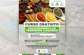 CURSO GRATUITO - PROCESSAMENTO DE TEMPEROS CASEIROS