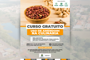CURSO GRATUITO - USO DE AMENDOIM NA CULINÁRIA