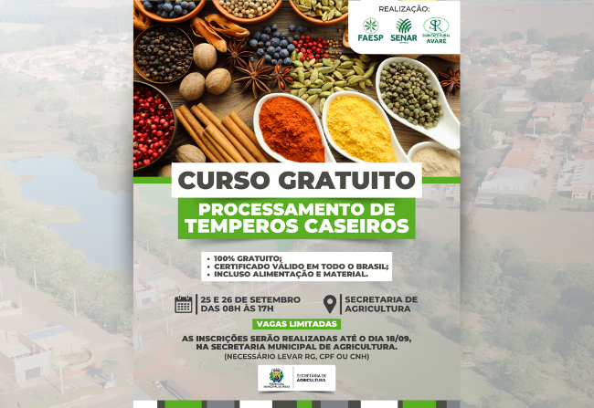 CURSO GRATUITO - PROCESSAMENTO DE TEMPEROS CASEIROS